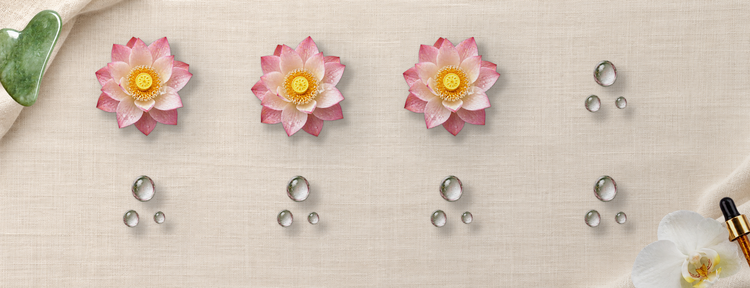 Diseño 1 para Belleza y spa