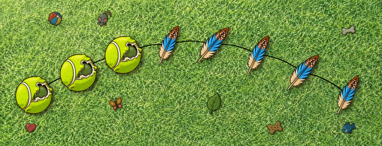 Diseño 4 para Mascotas